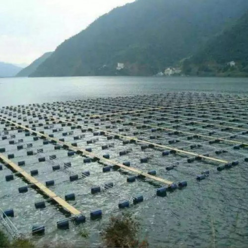 Aqua Farming net